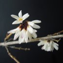 난우중학교 이미지