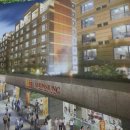 씨즈퍼스트 이미지