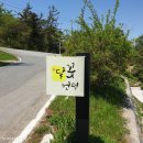 카페달꽃정원