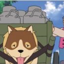 파트라슈 이미지