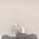 댕겨와유 이미지