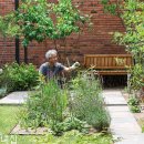 테마정원 이미지