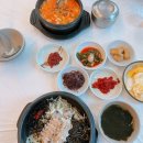 큐리애견 이미지