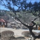 담소원펜션