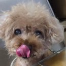 말랑말랑 이미지