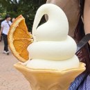 (주)커그니소프트 | [경주여행]경주월드 갔다왔습니다. 주관적인 후기