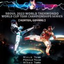 파워태권도 이미지