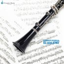 클라리넷 집중레슨 이미지