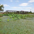 남생이못 습지생태 관찰원 이미지