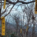 수산리-1 이미지