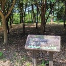 하천섬(주차장) 이미지