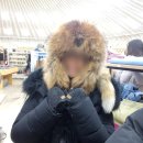 거북바위로 | 🇲🇳 몽골 관광지 🐢 거북바위 후기 기념품샵 가게 🐫 낙타양말 가격 11월 모두투어 패키지 3박4일 겨울 여행