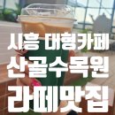 시흥계곡 주차장 | 안산대형카페 산골수목원 카페수목 N번째 방문 후기