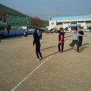 묘도초등학교 이미지