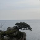 강원도 양양 가볼만한 곳, 부모님과 함께간 하조대