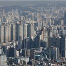 트럼프공인중개사무소 이미지