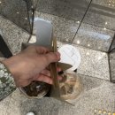 브루버거아크로텔 이미지