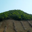 광양 마로산성 이미지