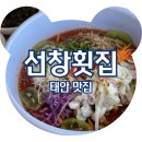 선창횟집 | 태안 청포대 맛집 쯔양도 다녀간 선창횟집 갑오징어물회 후기