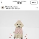 꼬리별펫케이크 이미지