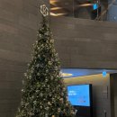 씨유 제천우리점 | 제천 포레스트 리솜 S48빌라 + 해브나인 나이트 스파