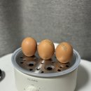 계란찜기 스테인리스 소재 좋은 클래파 스텐 찜기 쿠커 타이머 후기