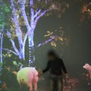 대박게임랜드 | 안동 2박3일 여행, 유교랜드 입장료, 스탬프투어 후기 (자녀동반 강추)