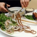신안촌 아시아경제