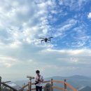 불갑모악보건진료소 | [불갑산] 상사화 등산코스, 붉은 물결 꽃무릇 군락지 산행