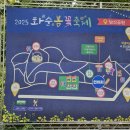 화순 김밥 이미지