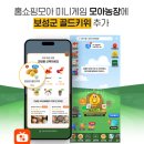 보성골드