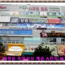 캐슬 태권도 체육관 이미지