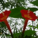 소사농원 이미지