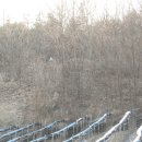 임원준 선생묘 이미지