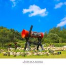 해바라기-청춘(1) 이미지