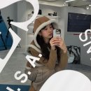 수지베어 이미지