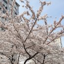 울타리분식점