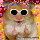 분당-354 | 354. 셜록홈즈 수원역점 <1980 레트로 게임룸 > 수원 방탈출 후기