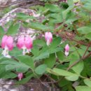 계양산 누리길 이미지