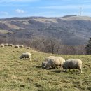 기연목장 이미지