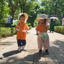 더늘사랑어린이집