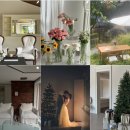 키노  스튜디오 | 웨딩스냅 무화과스냅 키노스튜디오 후기