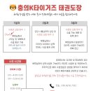 충의 K타이거즈 태권도장 이미지