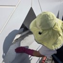 익산공설운동장 이미지