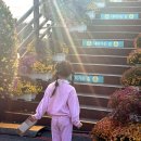 운암초등학교 | 근교 아이랑 가볼 만한 곳, 옥정호 출렁다리 &amp; 붕어섬 생태공원 방문기 (주차, 입장료, 꿀팁, 솔직 후기)