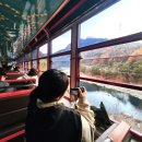 산골백두 | 백두대간협곡열차 V train| 분천역 산타마을 국내 겨울 기차여행 추천