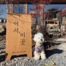 어서;이곳