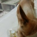 멍이와 냥이의 부엌 이미지