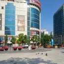 세이브존 이미지