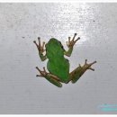 명옥헌민박 이미지